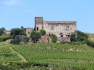 Rhone 255
